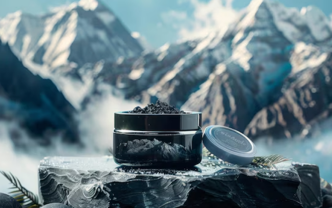 About Shilajit