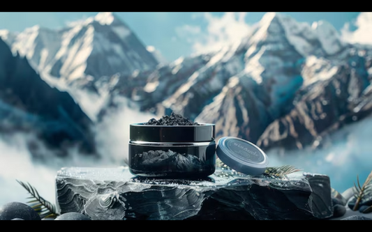 About Shilajit